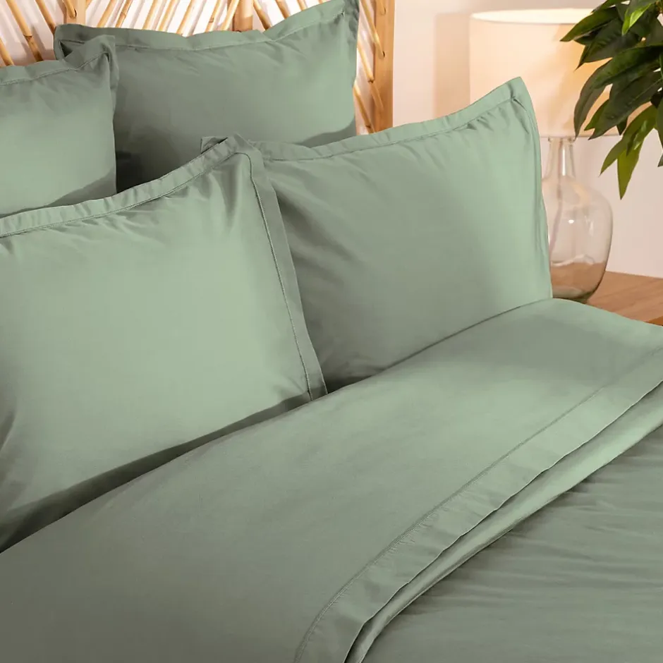 Eden 1 Taie d'39oreiller percale de coton uni Harmonie Discount