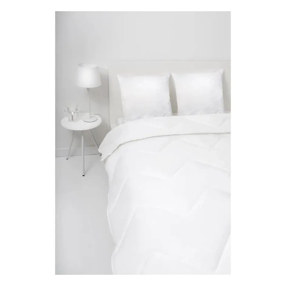Abeil Lot de 2 Oreillers a mémoire de forme matelassés- 60x60 cm - Blanc Discount