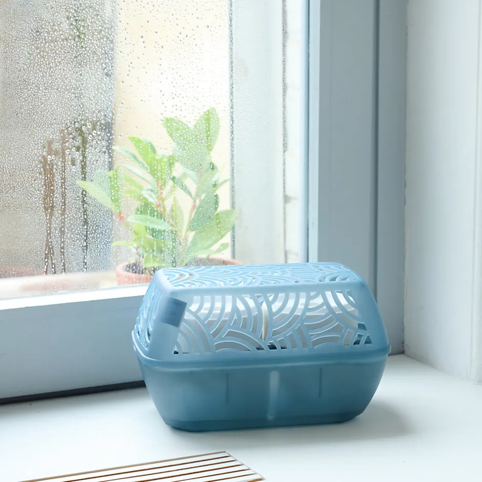GoodHome Absorbeur d'humidité 40m² + 2 recharges galet 450g