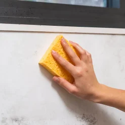 Starwax Anti-moisissures murs et pièces à vivre 500ml Best