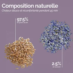 Vivezen Bouillotte, coussin chauffant 45 x 30 cm pour le dos ou autres parties du corps - Cosy - Beige -