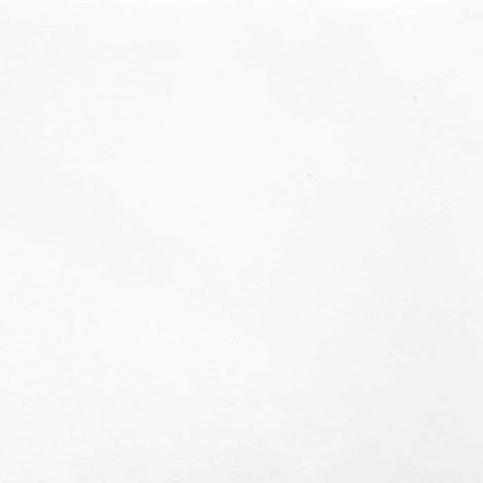 Vidaxl Cadre de lit avec tête de lit sans matelas blanc 200x200 cm