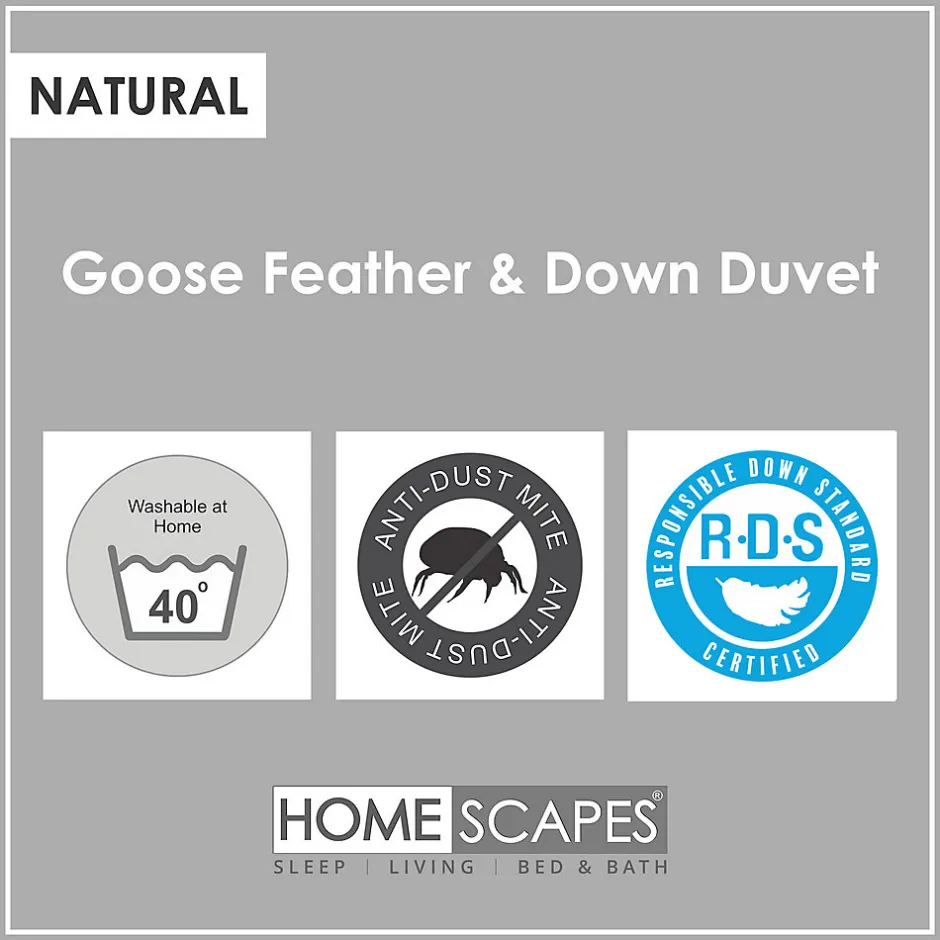 Homescapes Couette chaude 260 x 220 cm en duvet et plumes d'oie 13.5 Tog -
