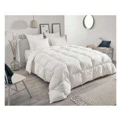 Toison d'Or Couette chaude en plumettes et duvet (240x260 cm - Blanc) Best