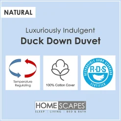 Homescapes Couette de Luxe tempérée printemps/été en duvet de canard 9 Tog - 260 x 220 cm -