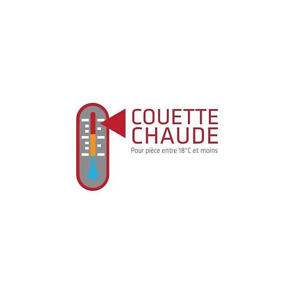 Abeil Couette Douceur Auvergnate - 220 x 240 cm - Chaude - 2 personnes -