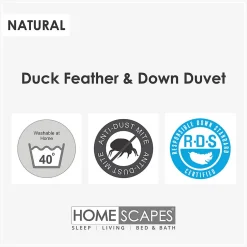 Homescapes Couette hiver 135 x 200 cm en duvet et en plumes de canard 13.5 Tog -