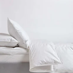 Homescapes Couette légère été 200x200 cm - Couette 1 à 2 personnes - Duvet et plumes d'oie -