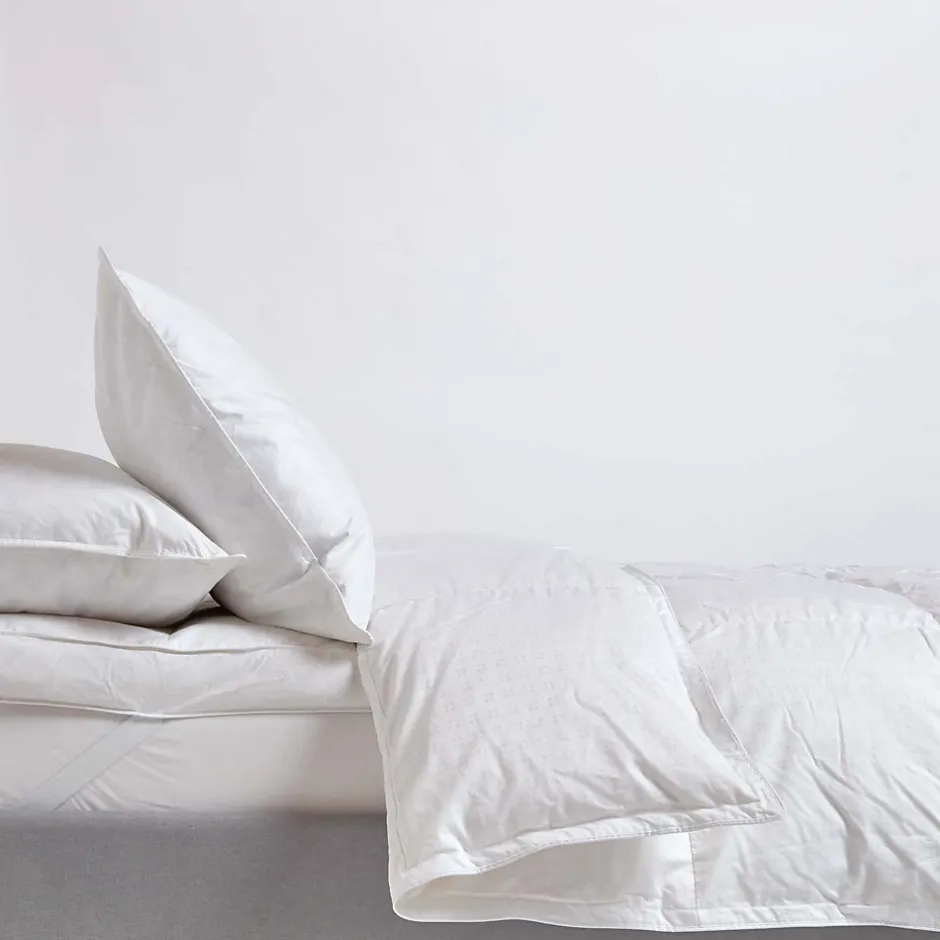 Homescapes Couette légère été 200x200 cm - Couette 1 à 2 personnes - Duvet d'oie - Online