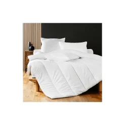 Promolinge Couette mi-saison/ medium 300 g/ m² - 220 x 240 cm