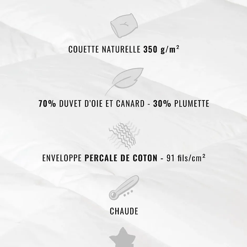 Sensei Maison Couette naturelle - Chaude - 70% duvet anti-acarienne 260x240 cm APPALACHES Online