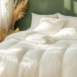 Sensei Maison Couette naturelle - Chaude - 70% duvet anti-acarienne 200x200 cm APPALACHES