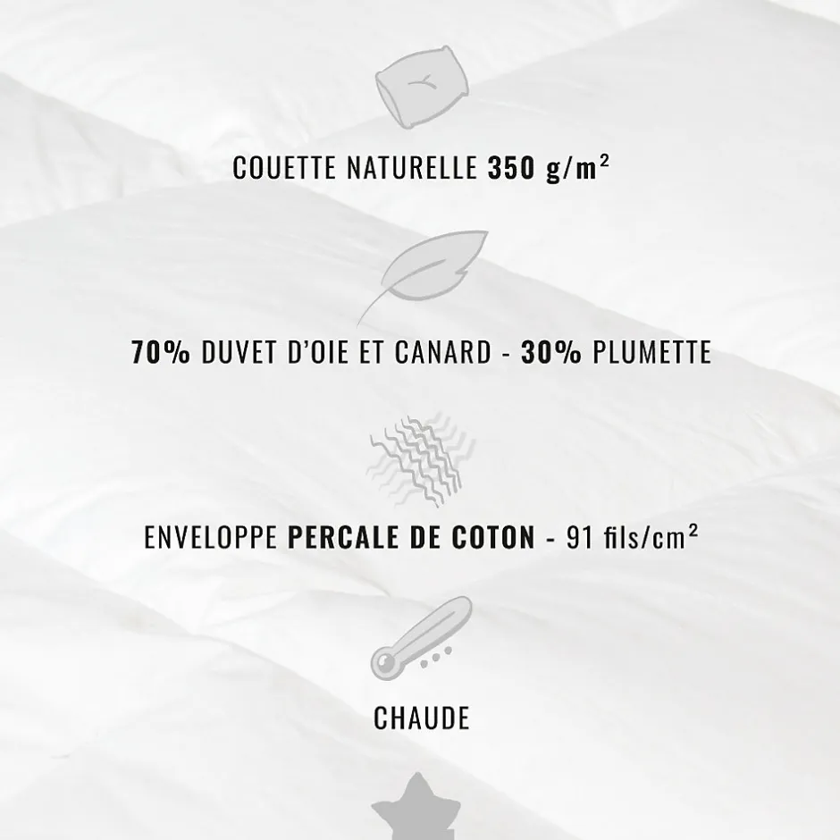 Sensei Maison Couette naturelle - Chaude - 70% duvet anti-acarienne 200x200 cm APPALACHES