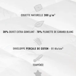 Sensei Maison Couette naturelle - Tempérée - 30% duvet 300 g/m² 260x240 cm NEVADA Discount