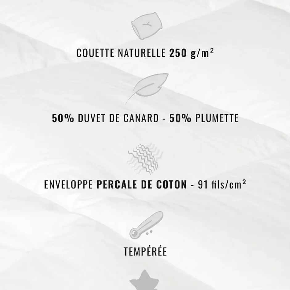Sensei Maison Couette naturelle - Tempérée - 50% duvet 250 g/m² 260x240 cm AVORIAZ Best
