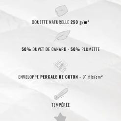 Sensei Maison Couette naturelle - Tempérée - 50% duvet 250 g/m² 240x220 cm AVORIAZ Online