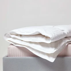 Homescapes Couette Premium chaude spéciale hiver en duvet d'oie 13.5 Tog - 200 x 200 cm -