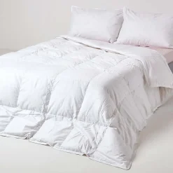 Homescapes Couette Premium tempérée printemps/automne en duvet d'oie 10.5 Tog - 200 x 200 cm - Hot