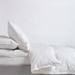 Homescapes Couette Premium tempérée printemps/automne en duvet d'oie 10.5 Tog - 200 x 200 cm - Hot