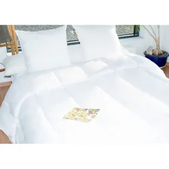 Bleu Calin Couette protection totale anti acariens 400 gr/m² 220 x 240 cm pour lit 2 places 140 x 190 cm à 160 x 200 cm