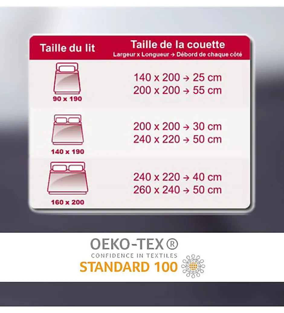 Abeil Couette tempérée Gris et blanc 300g 140 x 200 pour lit 1 place