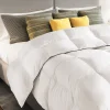 IDMarket Couette 220x240 CM AELA blanche en plume d'oie anti acarien 500 gr