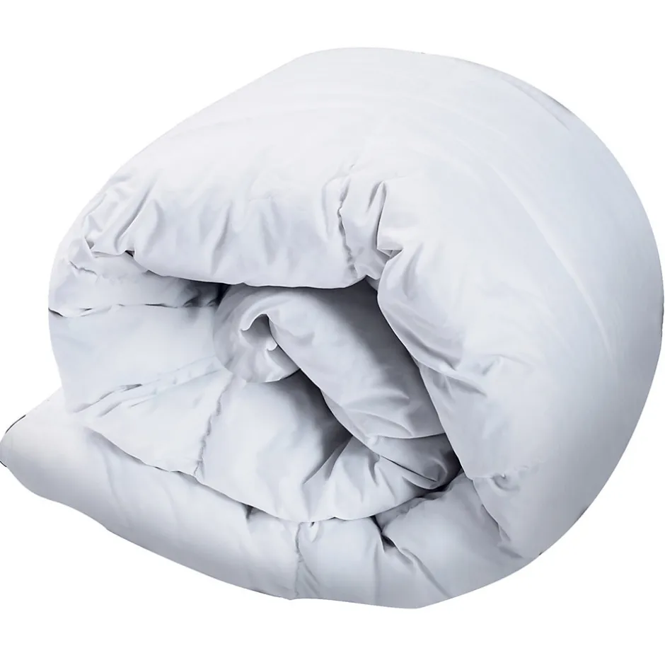 IDMarket Couette 220x240 CM AELA blanche en plume d'oie anti acarien 500 gr
