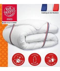 Dodo Couette 200x200 cm CHAMPS DE LIN - Chaude - 450G/m² - Couette 1-2 personne-Douce et Chaude -Anti-acariens Antibactériens