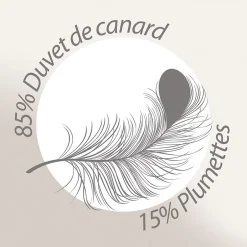 Linnea Couette 300x300 cm hiver FINLANDE garnissage naturel duvet de canard 300g/m2 Sale