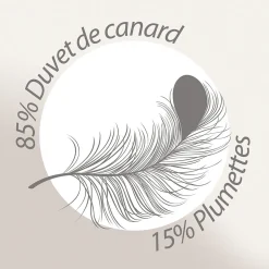 Linnea Couette 200x200 cm hiver FINLANDE garnissage naturel duvet de canard 300g/m2