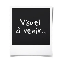 Poyet Motte Couverture en polaire unie (220x240 cm - Marron chocolat) Hot