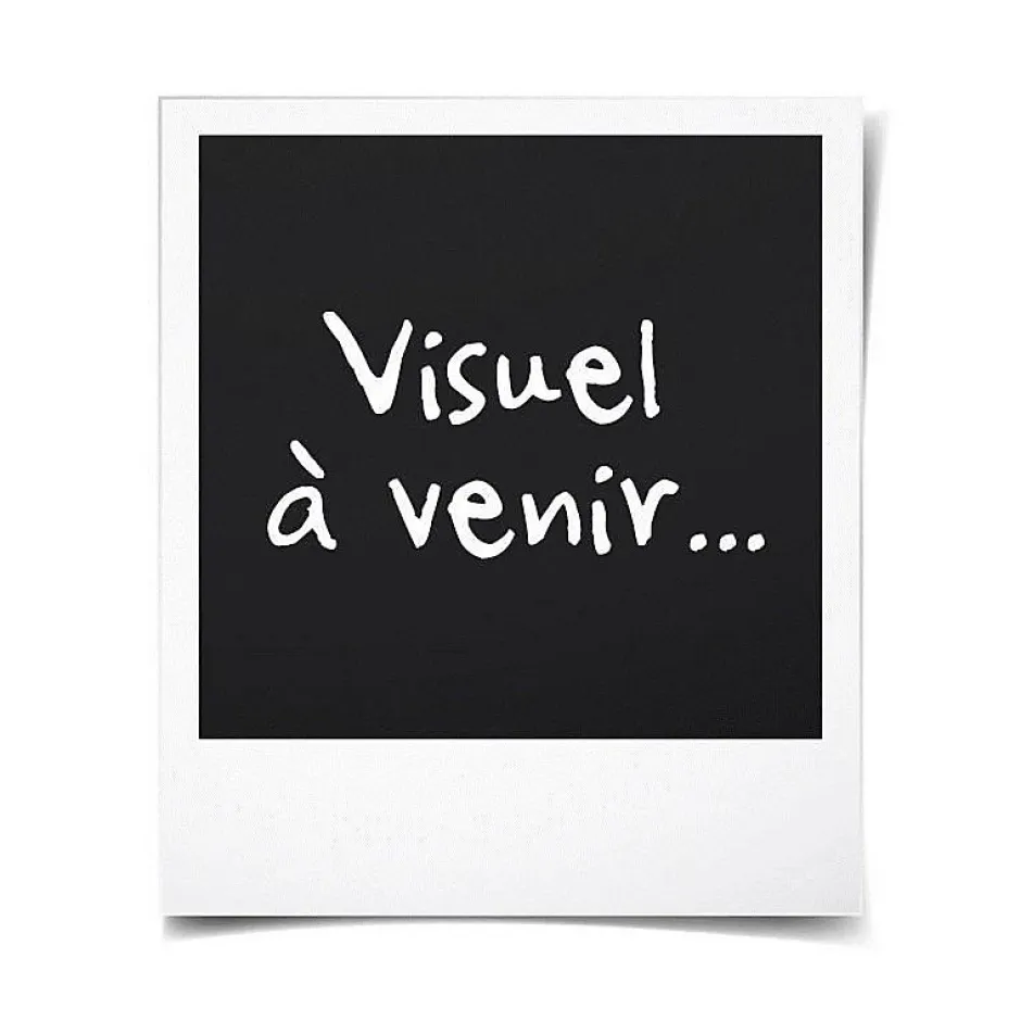 Poyet Motte Couverture en polaire unie (220x240 cm - Marron chocolat) Hot