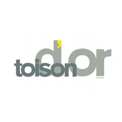Toison d'Or Couverture polaire "Teddy Non feu - Norme NF EN ISO 12952" toutes dimensions - Teddy Miel - 240 x 260 cm