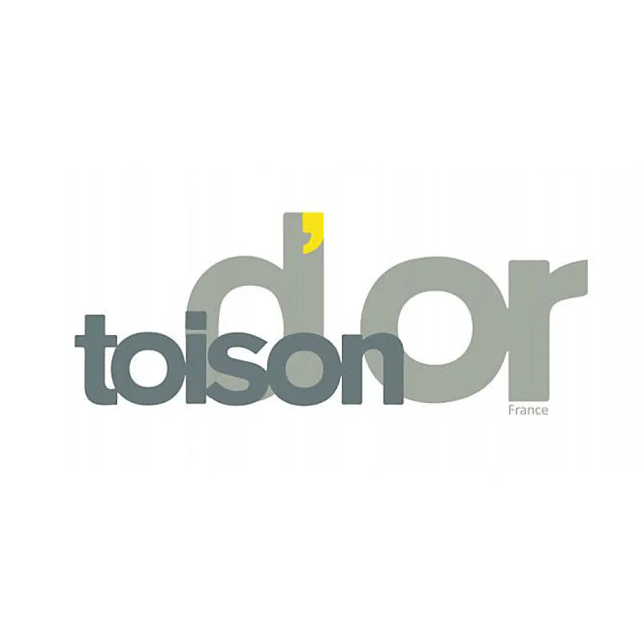 Toison d'Or Couverture polaire Toison dOr 240 x 300 cm Taupe non feu
