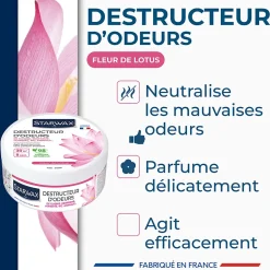 Starwax Destructeur d'odeurs fleurs de lotus 300g Online