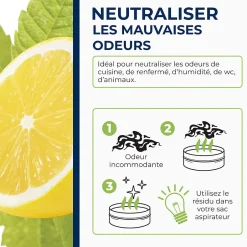 Starwax Destructeur d'odeurs verveine citronnée 300g Outlet