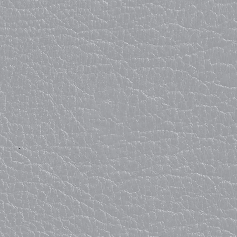 Les Anciens Ebenistes DIRECT COLOR - Recolore le cuir - 250ML GRIS - Les anciens ébénistes