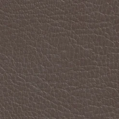 Les Anciens Ebenistes DIRECT COLOR - Recolore le cuir - 250ML CHATAÎGNE - Les anciens ébénistes