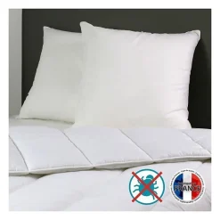 Dodo Lot de 2 Oreillers Anti-Acariens Belle Nuit 60x60 cm blanc
