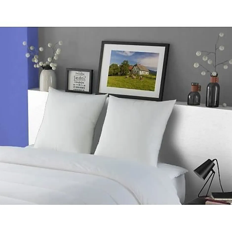 Dodo Lot de 2 Oreillers MERIBEL Plumettes 60x60cm