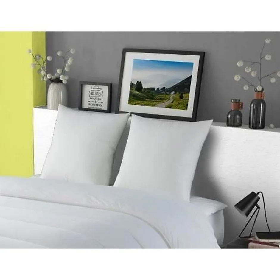 Dodo Oreiller Duvet Oie MORZINE Anti-Acariens 65x65cm blanc