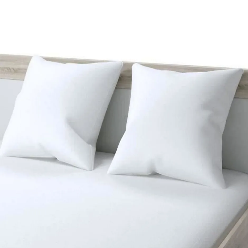 Dodo Oreiller Grand luxe Quallofil Allerban - 60 x 60 cm - Blanc