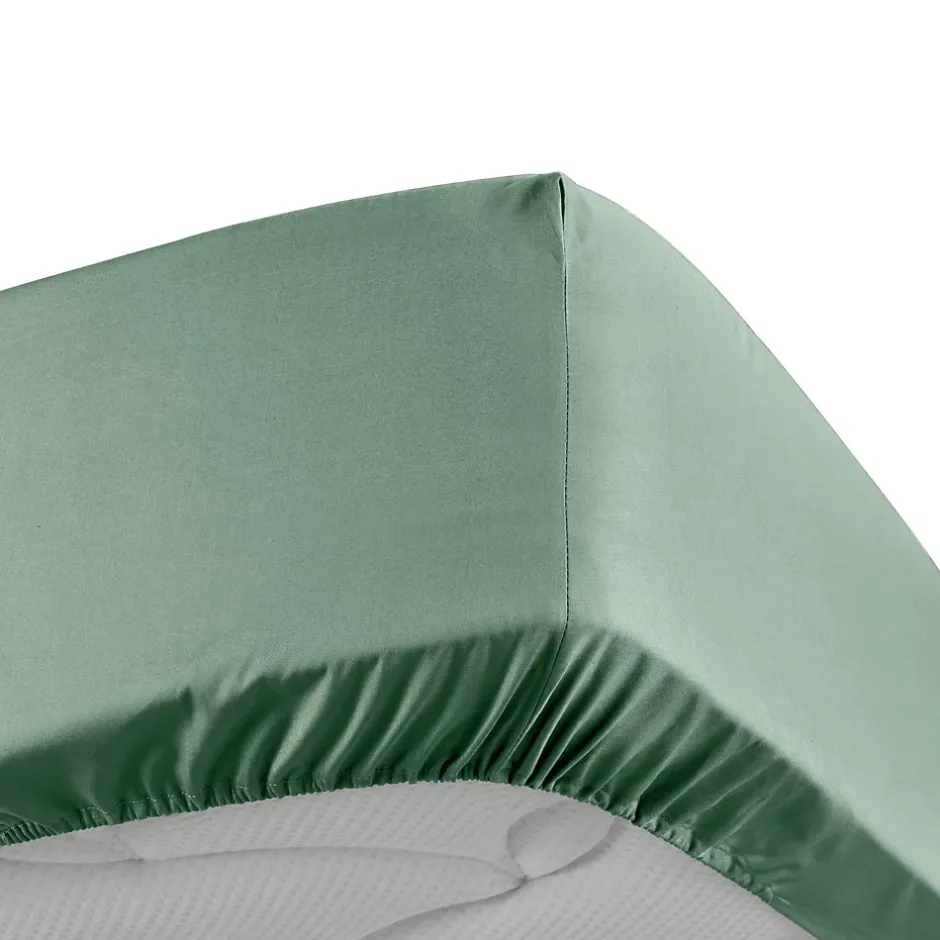 Douceur D'Intérieur DRAP HOUSSE 2 PERSONNES PERCALE UNI 78 FILS PERCALINE TILLEUL - 160x200cm - Vert tilleul Clearance