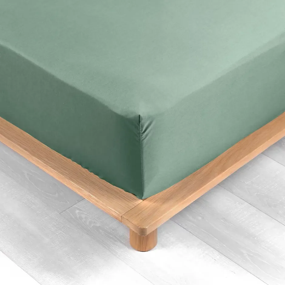 Douceur D'Intérieur DRAP HOUSSE 2 PERSONNES PERCALE UNI 78 FILS PERCALINE TILLEUL - 160x200cm - Vert tilleul Clearance