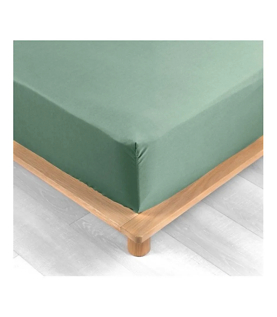 Douceur D'Intérieur DRAP HOUSSE 2 PERSONNES PERCALE UNI 78 FILS PERCALINE TILLEUL - 160x200cm - Vert tilleul Clearance
