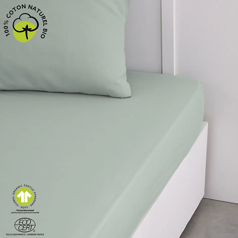 Today Drap housse 2 places - 100% coton BIO