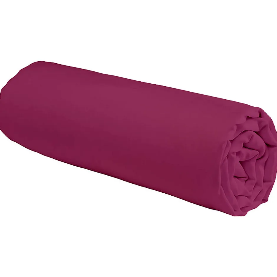 Future Home Drap housse en coton 57 fils uni bonnet 25cm 90x190cm