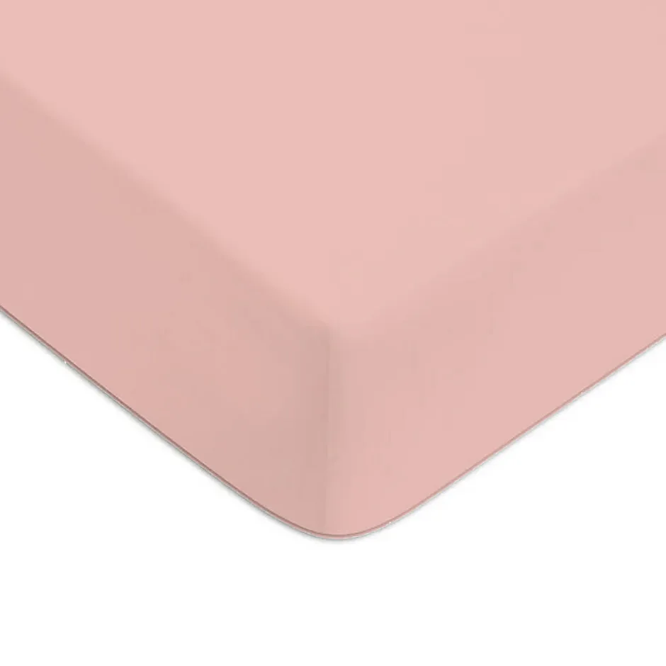 Future Home Drap housse en coton 57 fils uni bonnet 25cm 140x190cm