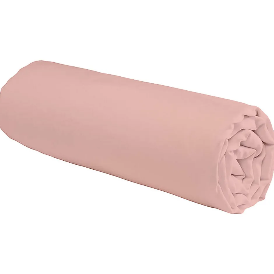 Future Home Drap housse en coton 57 fils uni bonnet 25cm 140x190cm