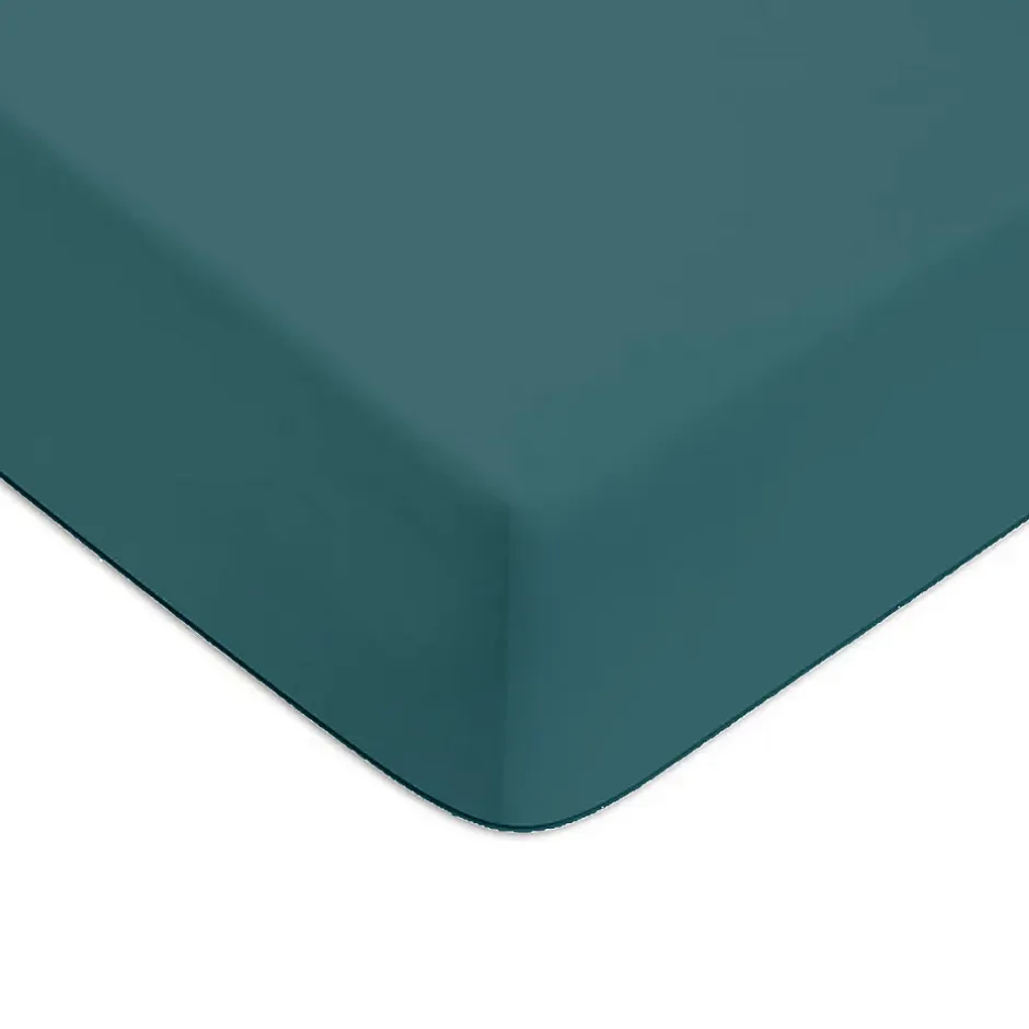 Future Home Drap housse en coton 57 fils uni bonnet 25cm 180x200cm New